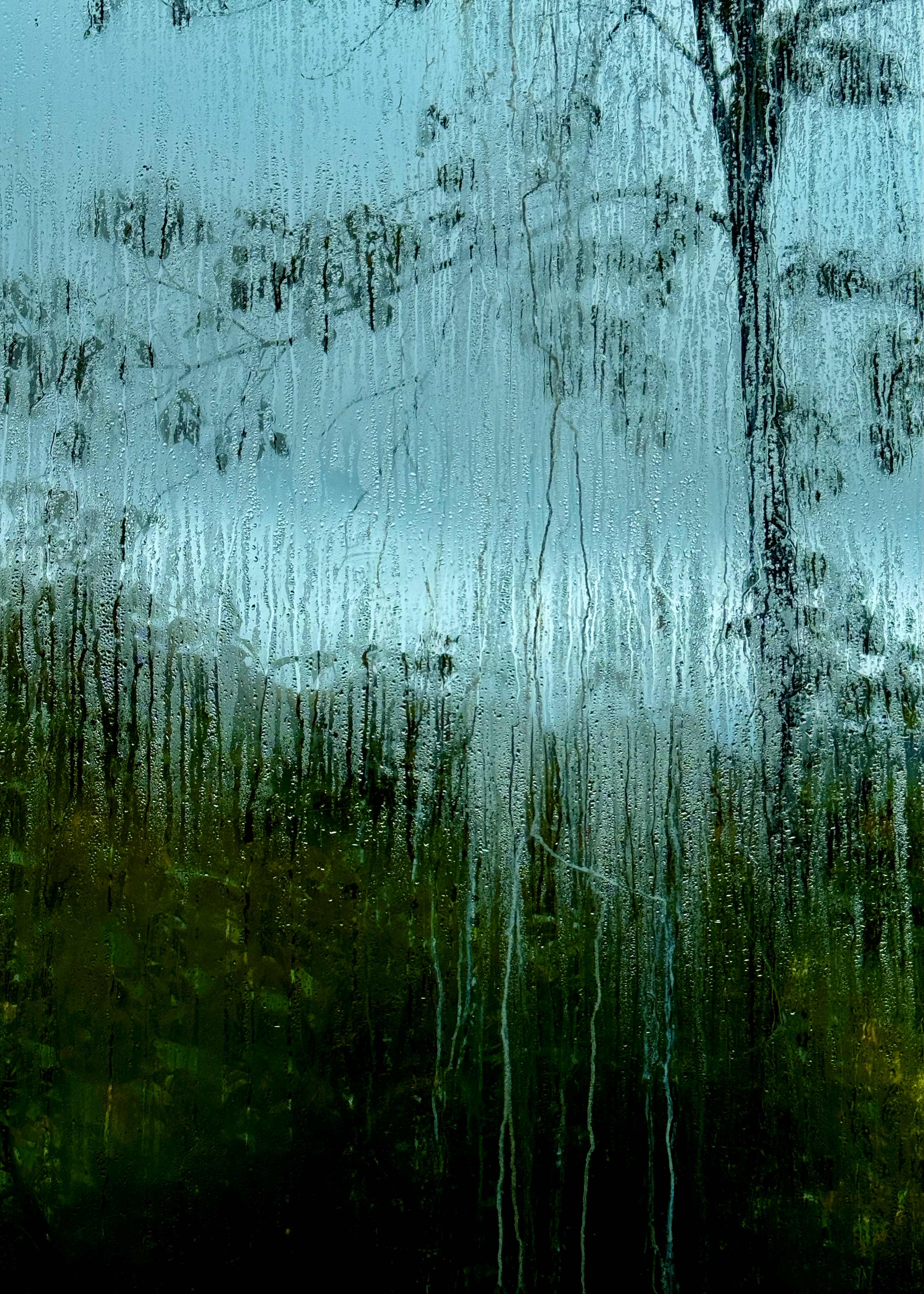 Abstract water droplets on glass with green vegetation background - macro nature photography