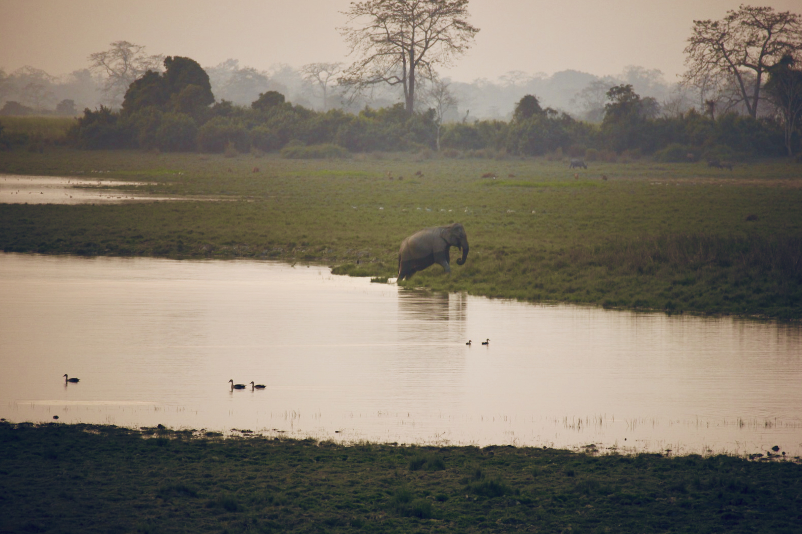 Breath of Earth - Photography collection by Shital Morjaria