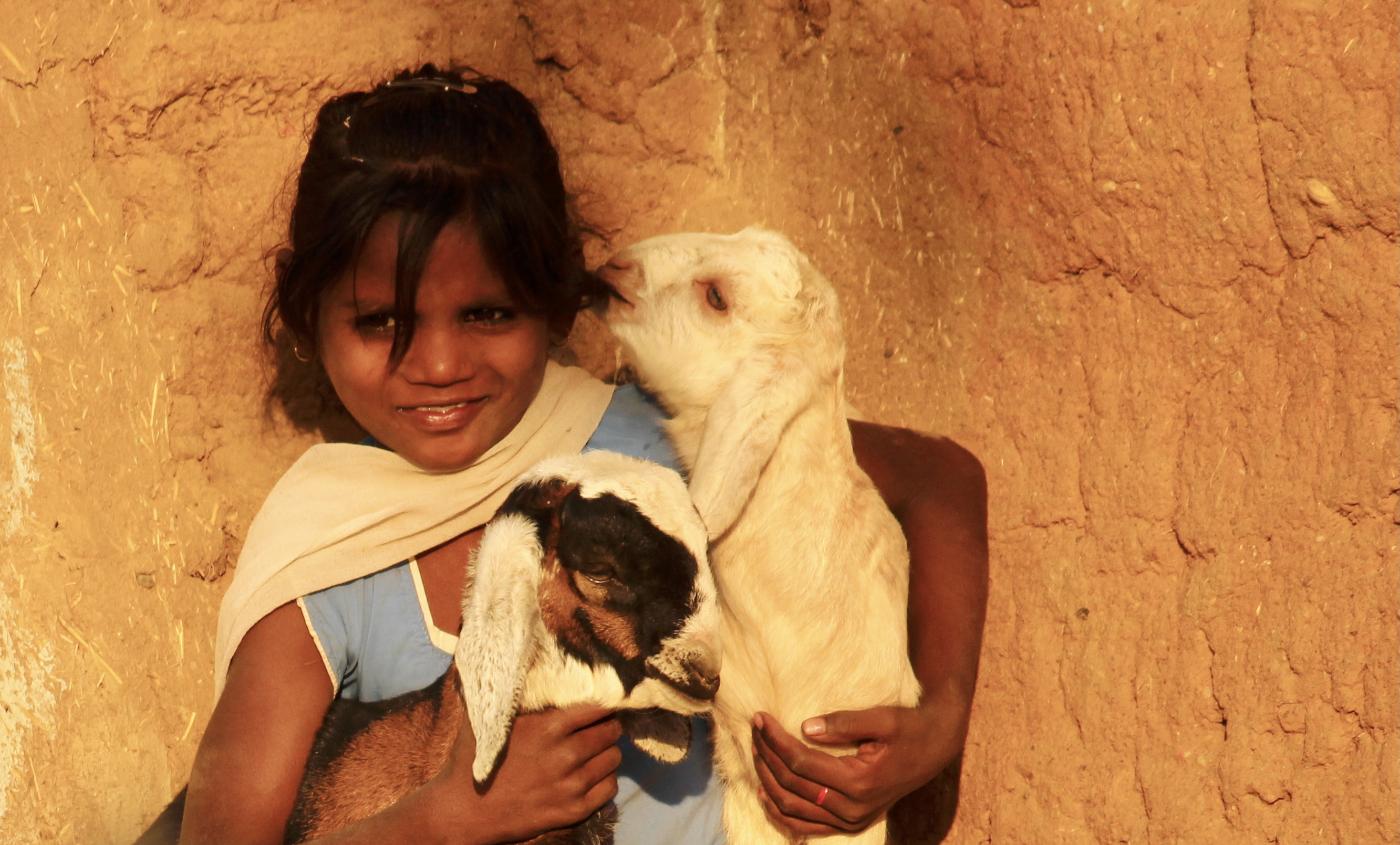 Young girl holding two small goats against earthen wall background - human connection and rural life photography