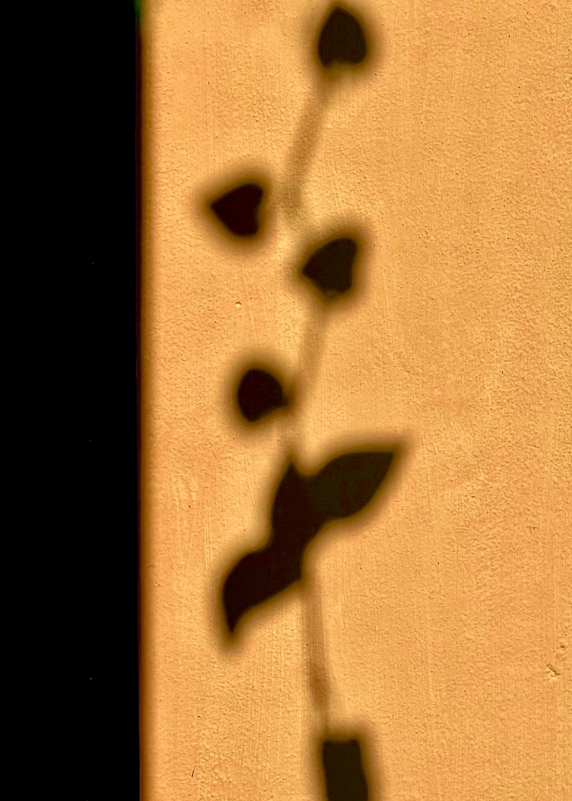 Fragments of time - Photography collection by Shital Morjaria