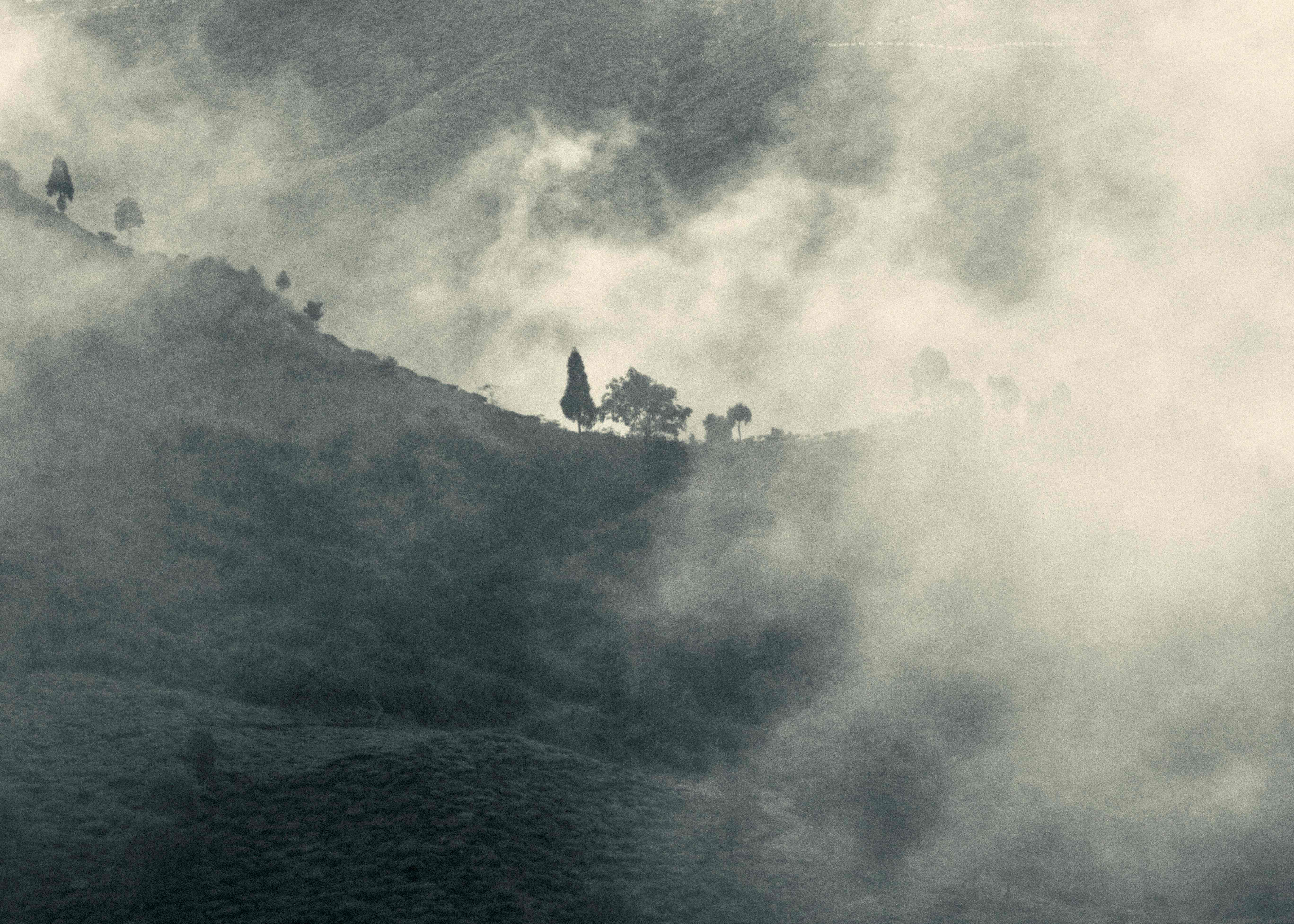 Misty hills with trees silhouetted on ridge - Quiet Horizons landscape photography series