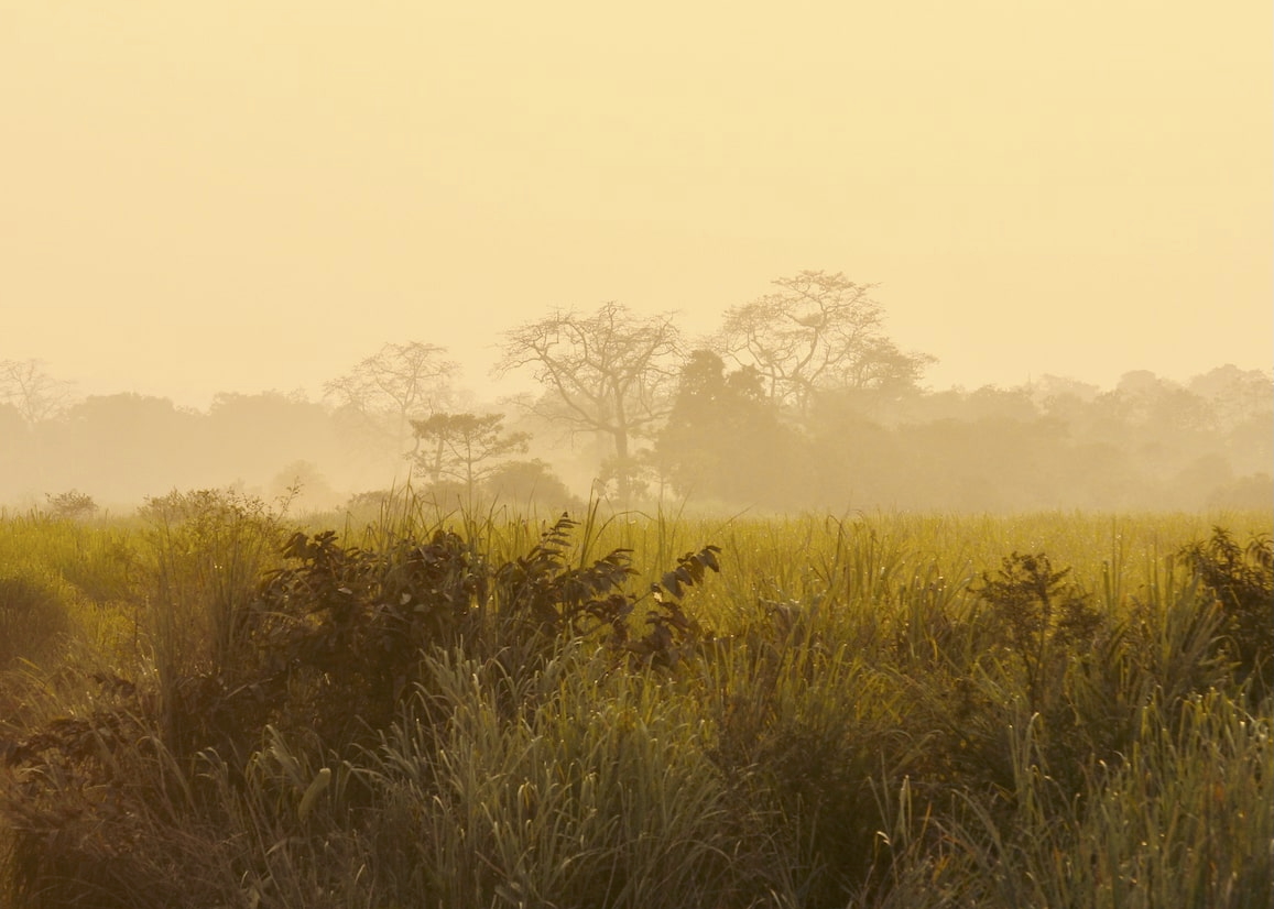 Quiet Horizons - Photography collection by Shital Morjaria