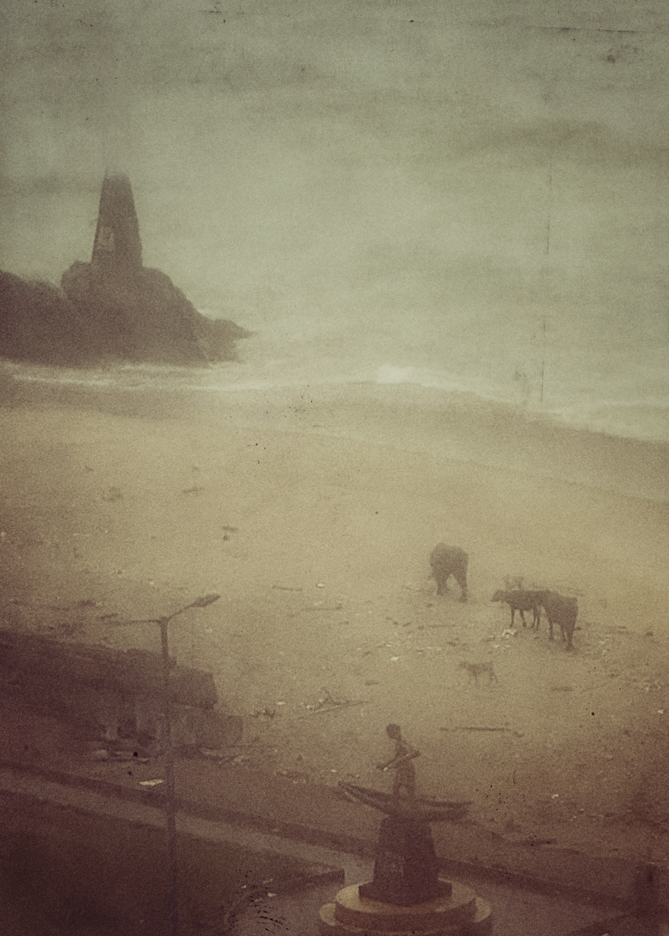 Moody vintage beach scene with misty atmosphere showing people and animals on sandy shore - coastal documentary photography