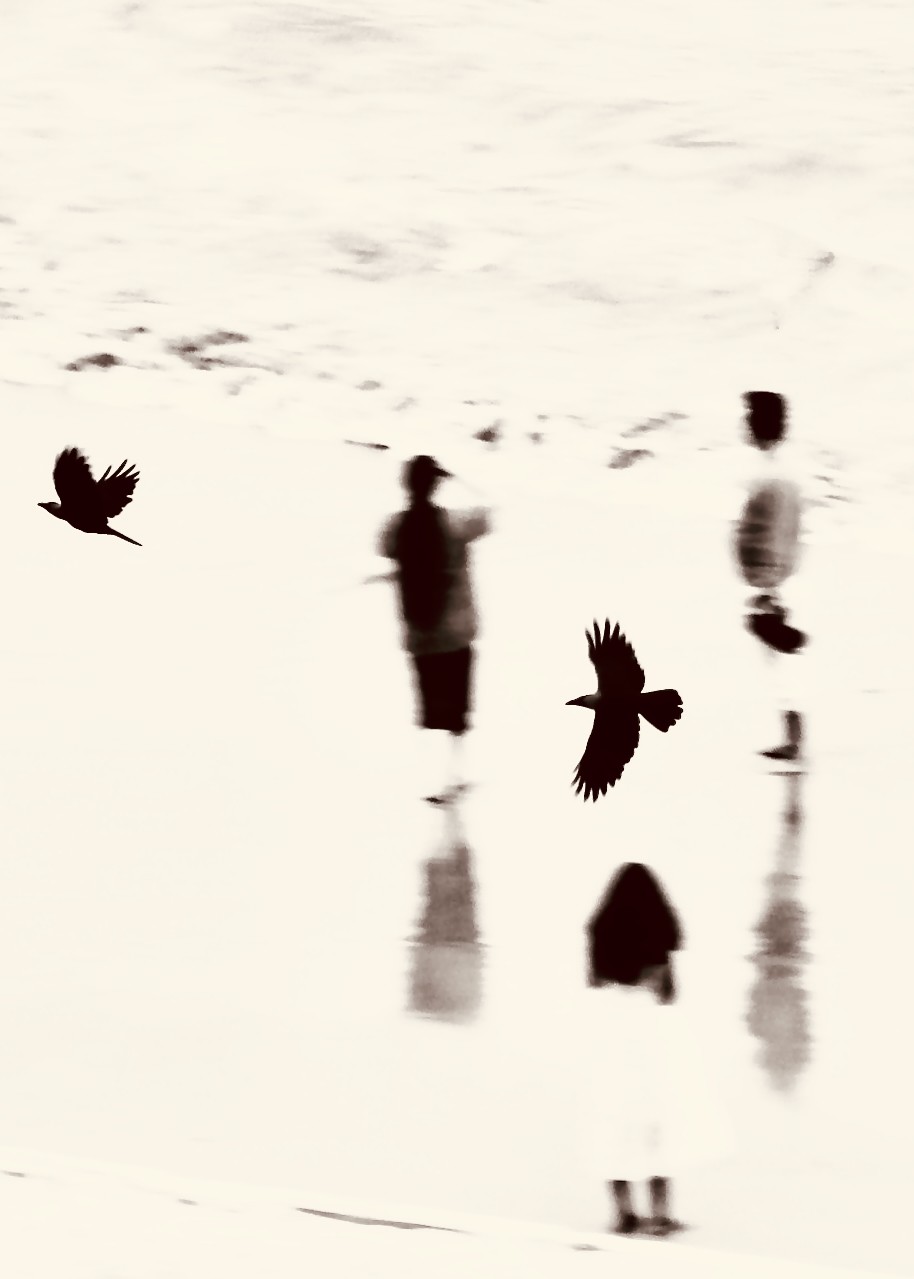 Black and white artistic beach scene with flying birds and silhouetted figures with reflections - poetic beach photography
