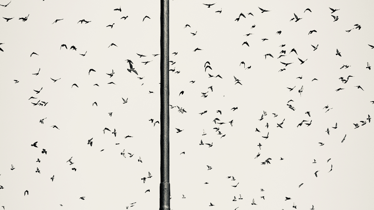 Large flock of birds in flight around vertical electrical pole - bird migration photography