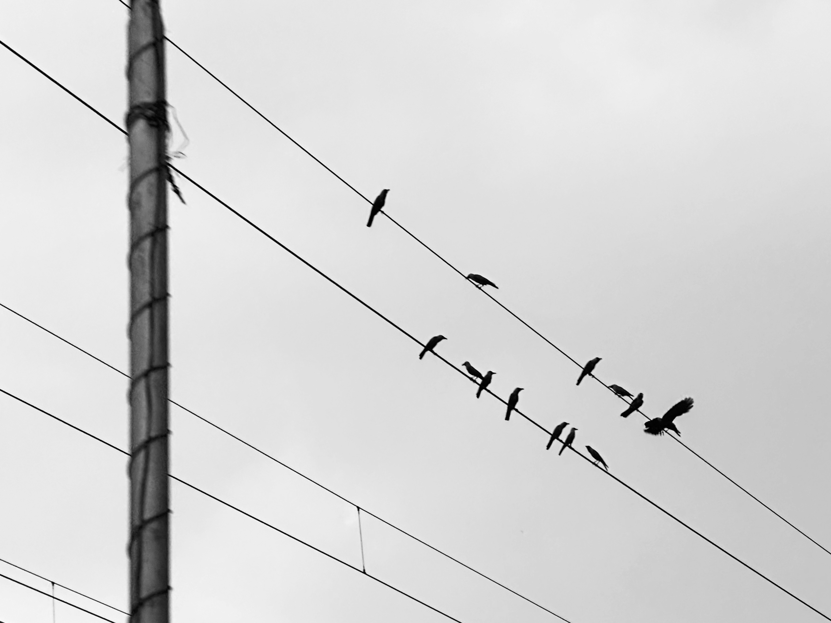 Small is beautiful - Photography collection by Shital Morjaria
