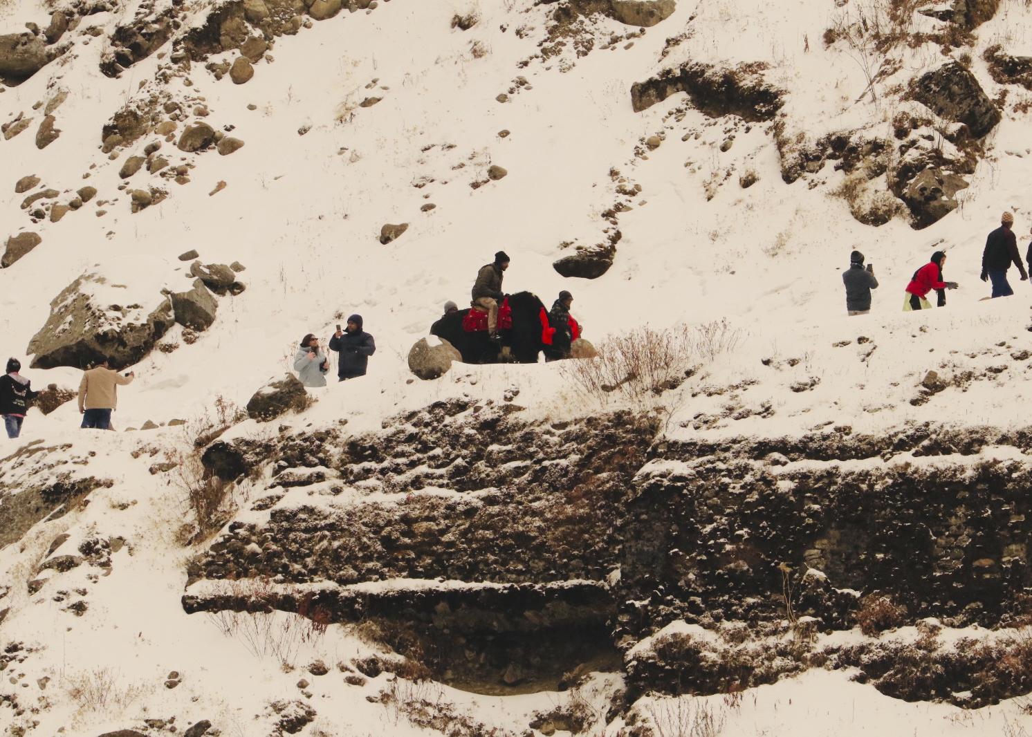 Aerial view of people scattered across snowy landscape - human figures in vast natural setting travel photography